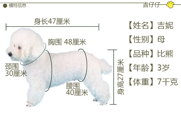 A010-S袋鼠妈妈彩虹系列详情图_15