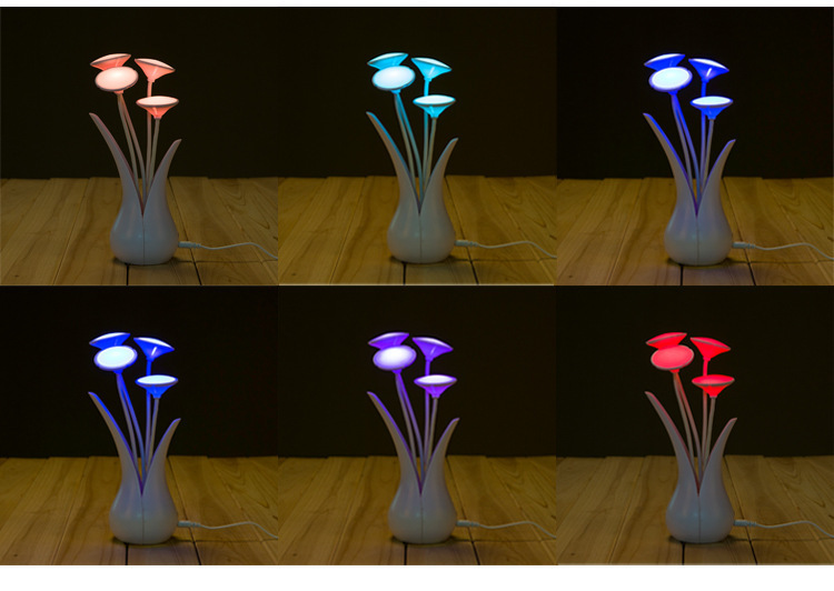 3259376510_923048354