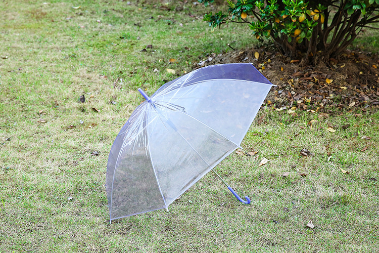  彩虹色透明雨伞 时尚创意直柄伞