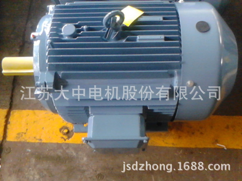 江苏大中电机 大中电机 江苏大中 江苏大中电机股份有限公司YE3
