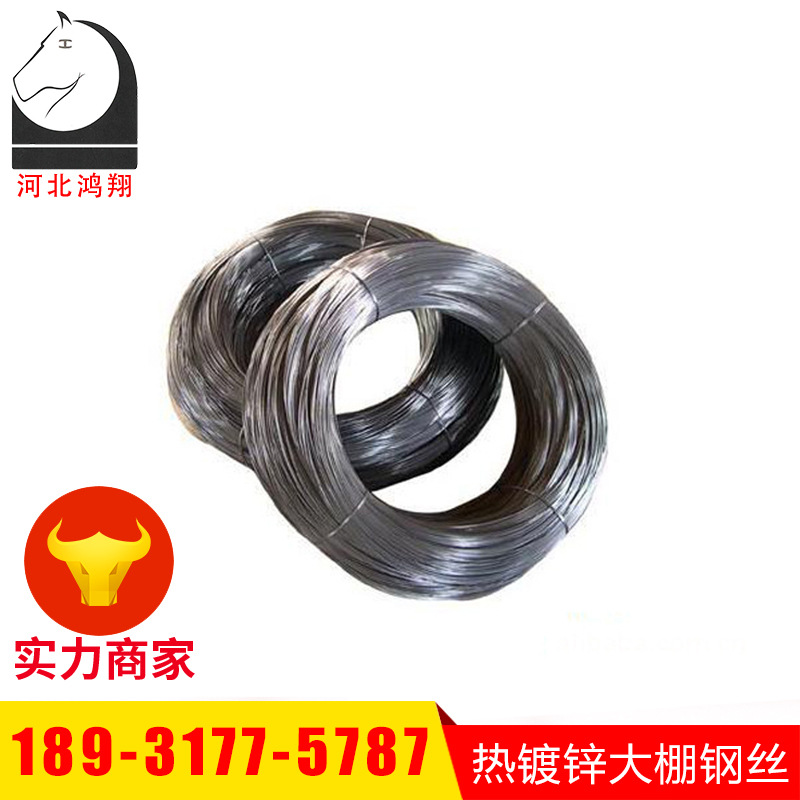 厂家供应 金属热镀锌大棚钢丝 南通镀锌低碳钢钢丝