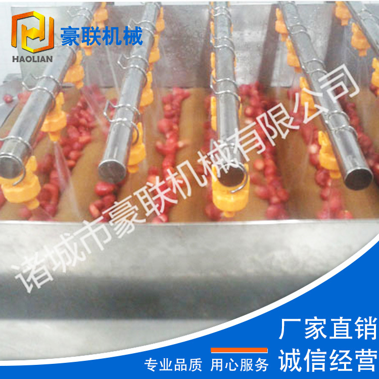 带泥花生清洗机 带泥花生清洗去泥沙设备 毛刷+喷淋双重高效清洗