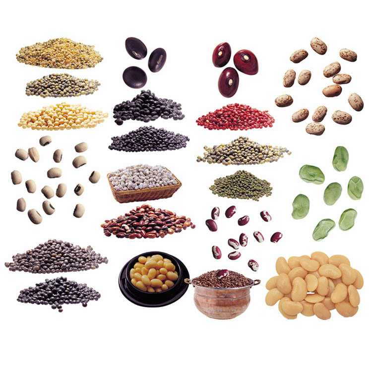 各種豆類