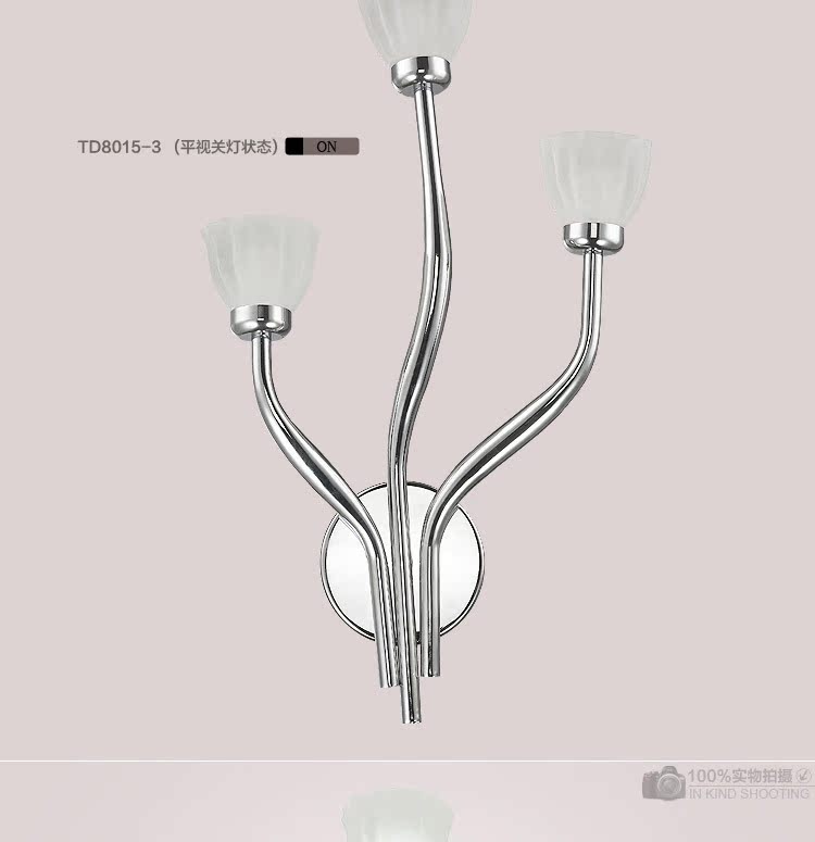 TD8015壁燈_15
