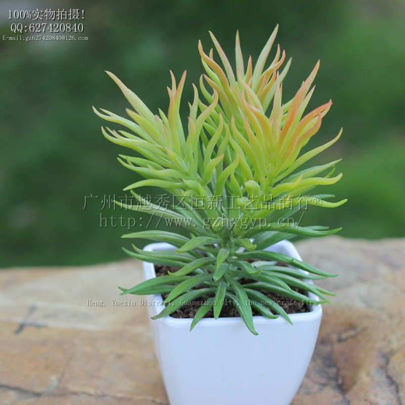 6449881416d74bca705249c74597c8