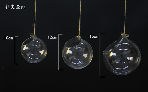 Hanging glass vases, wall-mounted vases, succulent vases, transparent round hydroponic hanging bottles, wedding supplies