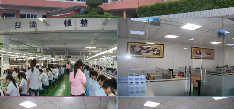 模组详情5050_48