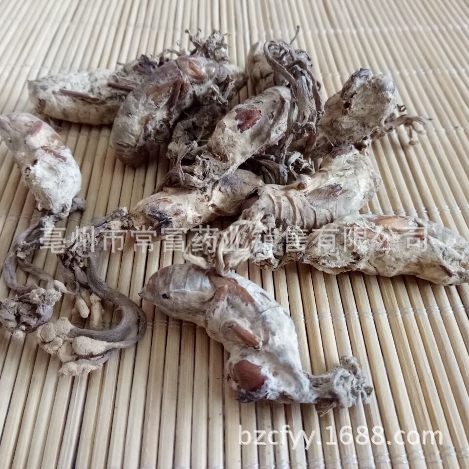 Golden Cicada Flower Jin Chan Hua Dried Cordyceps Fungus on Cicada Pupae Traditional Herbal Ingredient 500g quality and texture