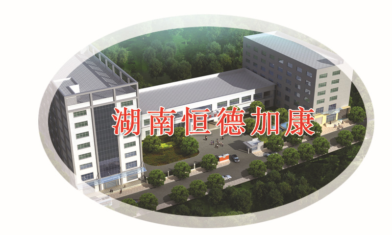 公司全景鸟瞰效果图