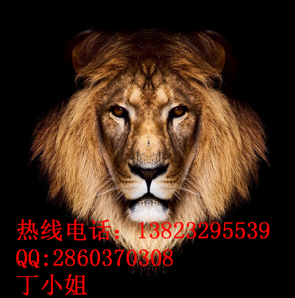 QQ圖片20160405194433