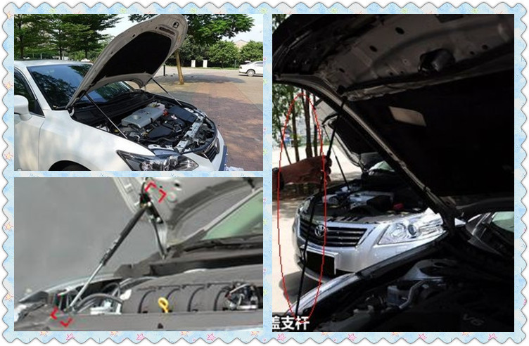 2510034920_1771083086