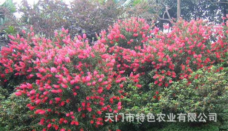 QQ截图20151223202327