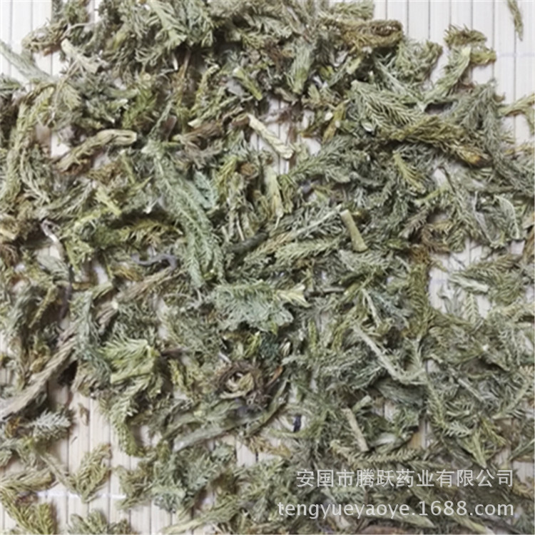 Dried Lycopodium Herb Shen Jin Cao Whole Herb Traditional TCM Botanical Wholesale specifications