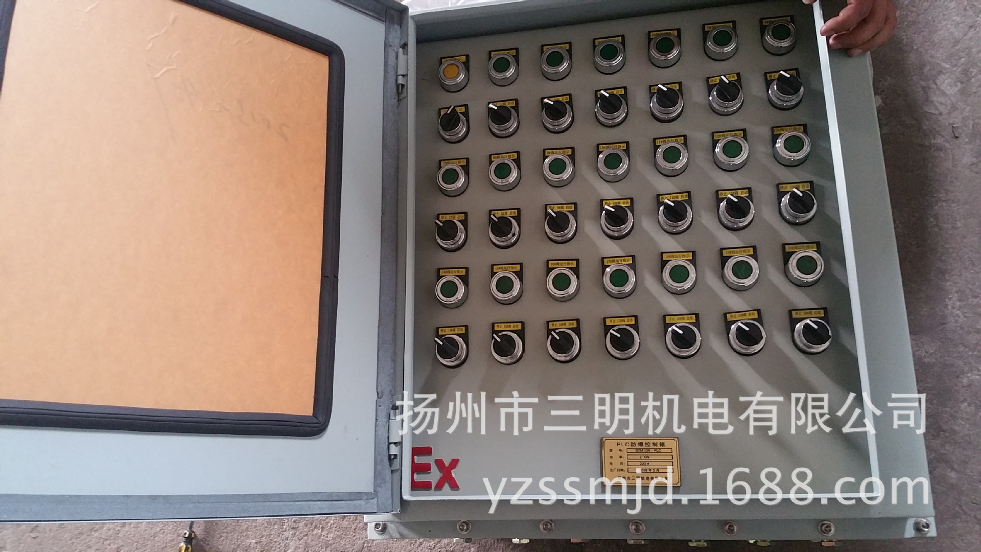 PLC豪华型不锈缸防爆控制柜