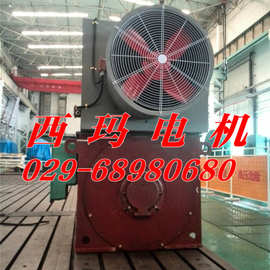 YL5601-4 1600KW与YL4002-6 280KW/高压电机图片