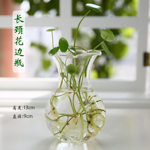 Creative hydroponic glass vase, flower arrangement hanging vase, pothos, copper money grass, desktop decoration glass crafts