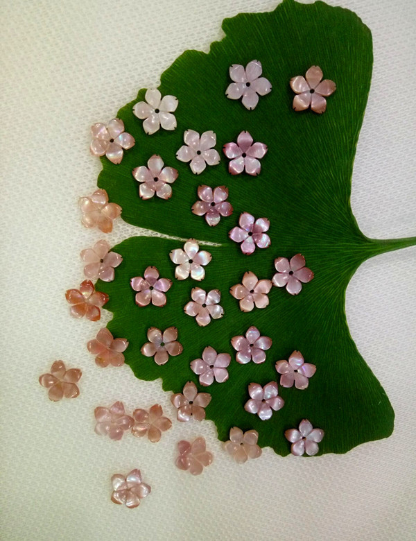 粉贝樱花2_副本