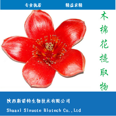 木棉花2