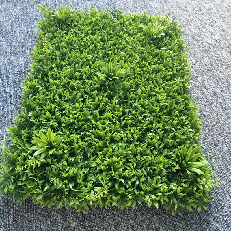 QQ图片20160707150019_副本