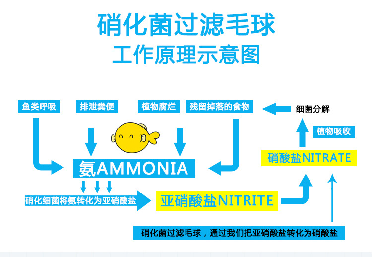 TB2gZeyqXXXXXXVXXXXXXXXXXXX_!!