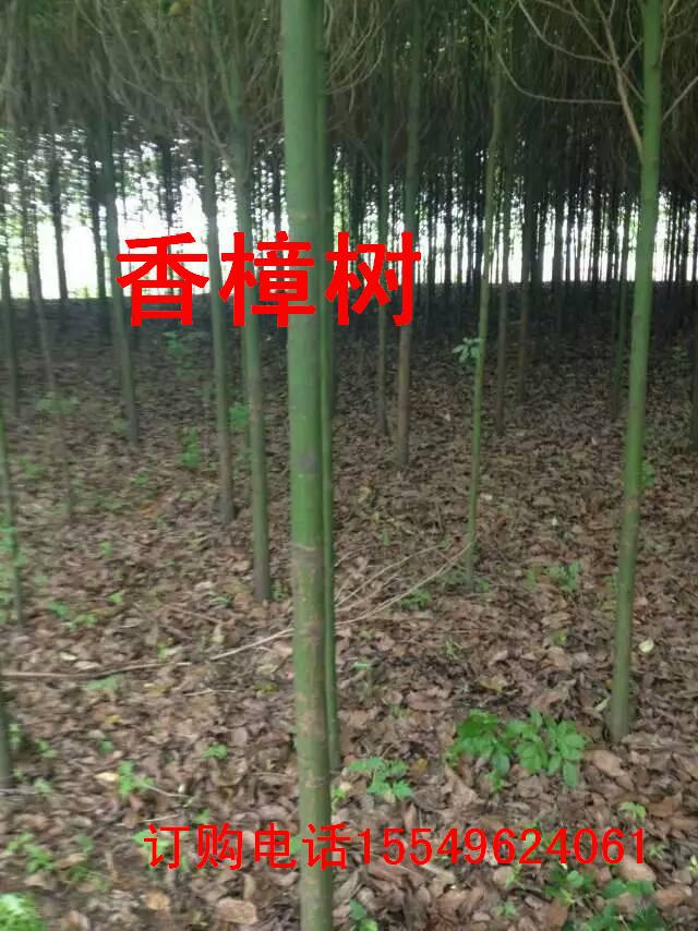 mmexport1470726952047