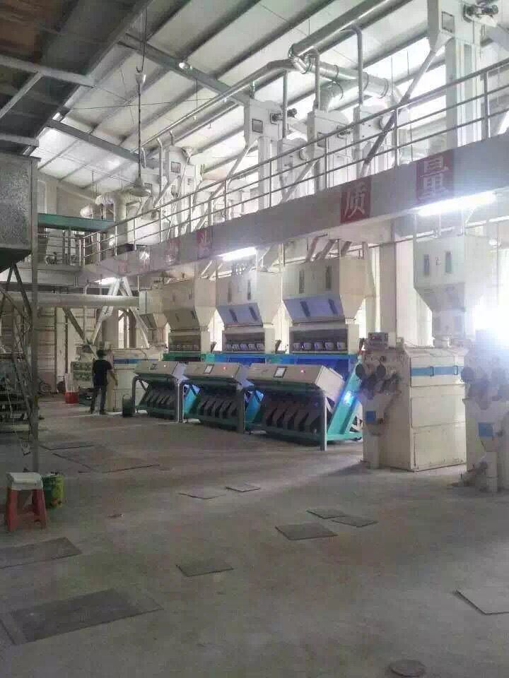 玉米色選機新17