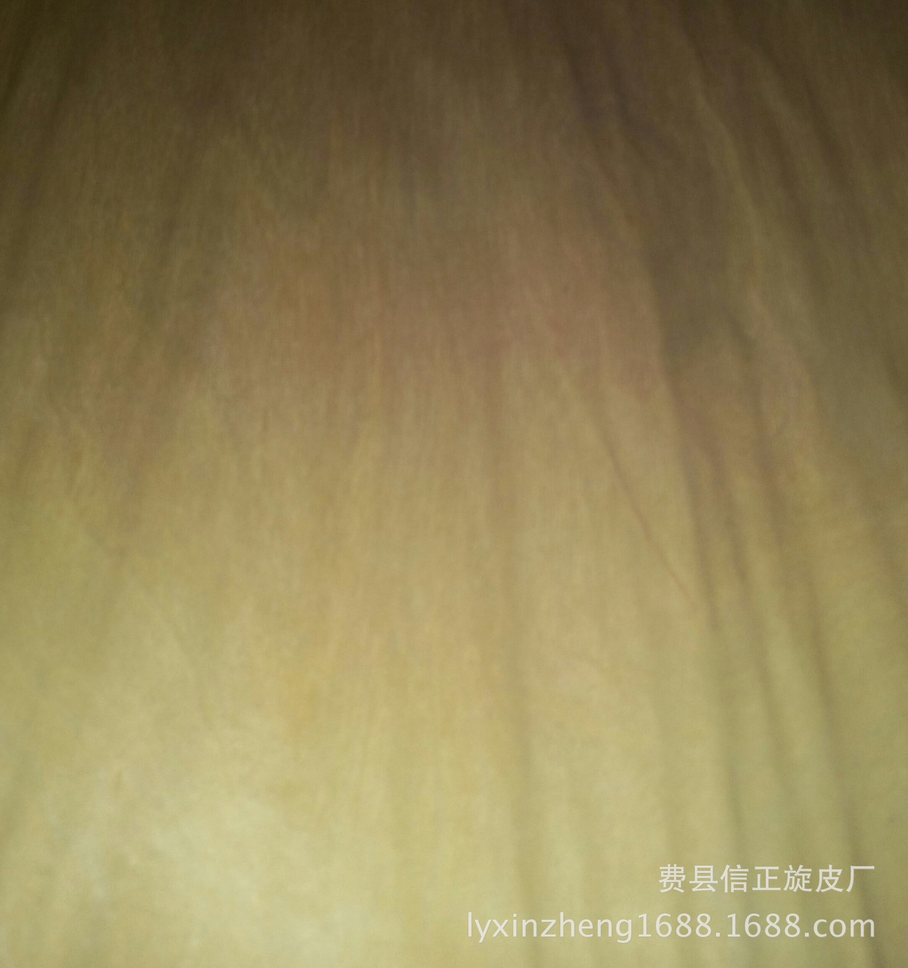 IMG_20160401_143538-1