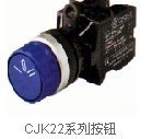 CJK22-11PDS/Go L