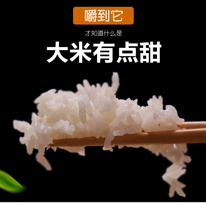 长粒香5kg_07