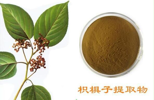 QQ图片20160401143409