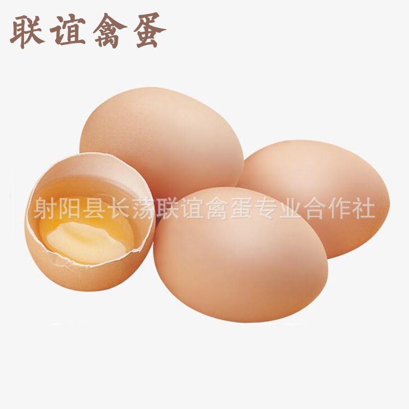 射阳县长荡联谊禽蛋专业合作社