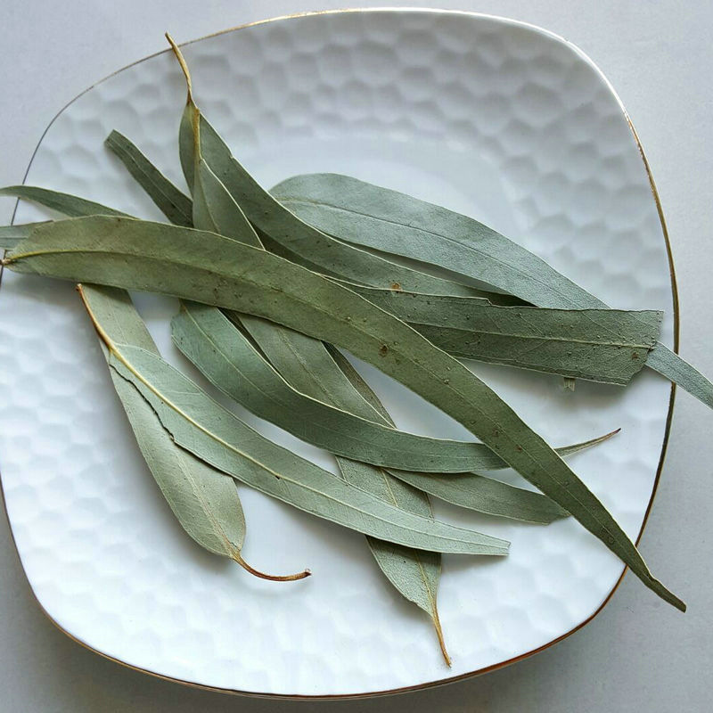 桉树叶供应云南 新货桉叶 香包填充原料桉树叶颗粒中草药桉树叶粉-阿里巴巴