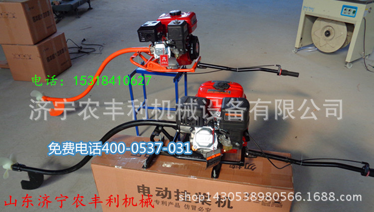 DSC01498_副本_副本