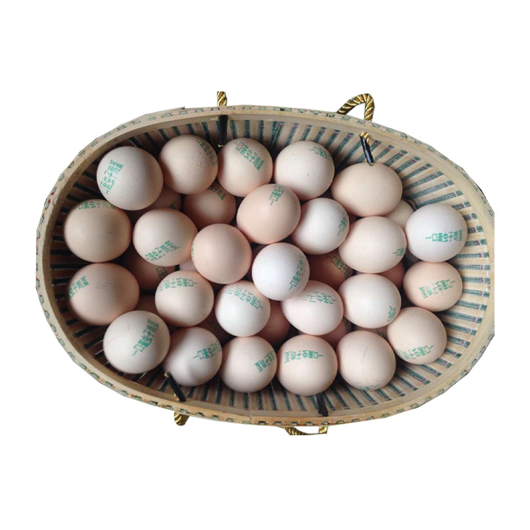 口斋虫子鸡蛋 鸡蛋批发 土特产鸡 蛋无菌鸡蛋 甘