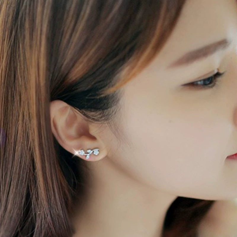 Fresh earrings