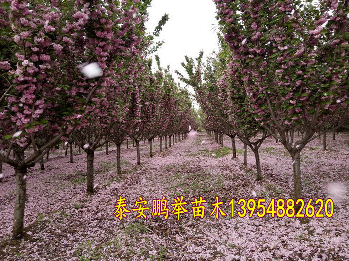 IMG20160416171323