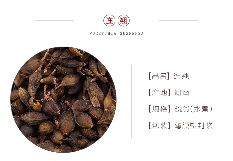 Dried Forsythia Fruit Lian Qiao 500g Bulk Water Processed Decoction Herb overview