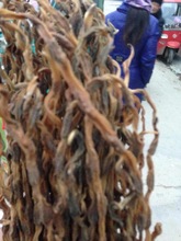 长豆角种植价格_今日最新长豆角种植价格行情