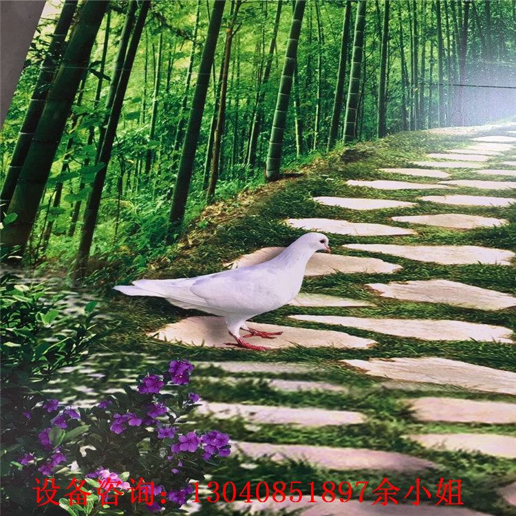 QQ圖片20161014180027