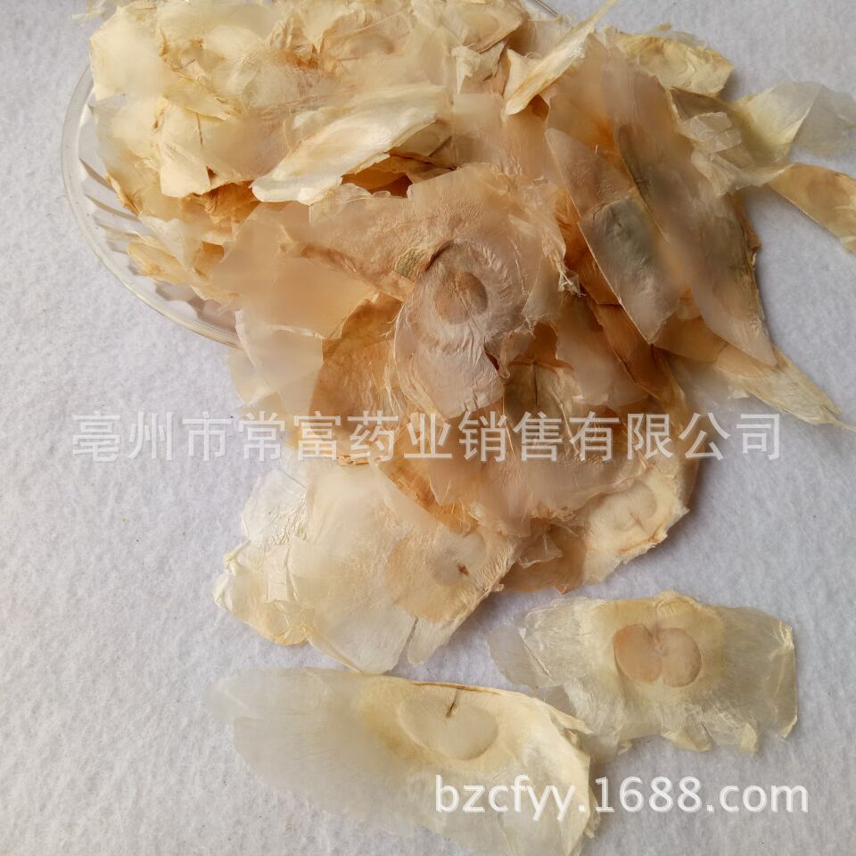 Mu Hu Die Dried Oroxylum indicum Seeds Butterfly Pea Tree Herb for Herbal Decoction 500g in use