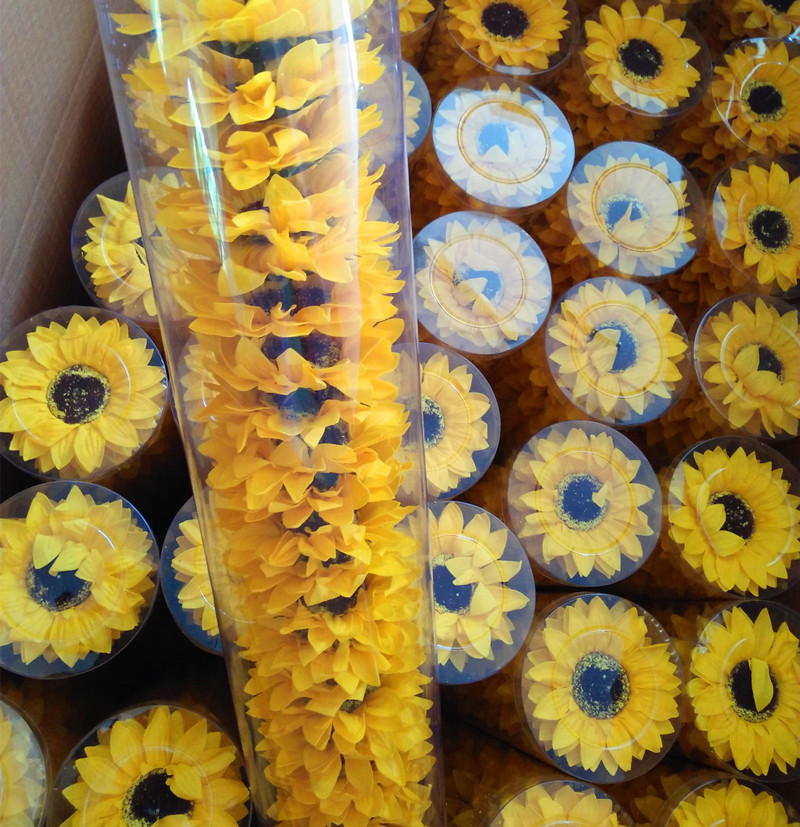 IMG20160816124312_副本