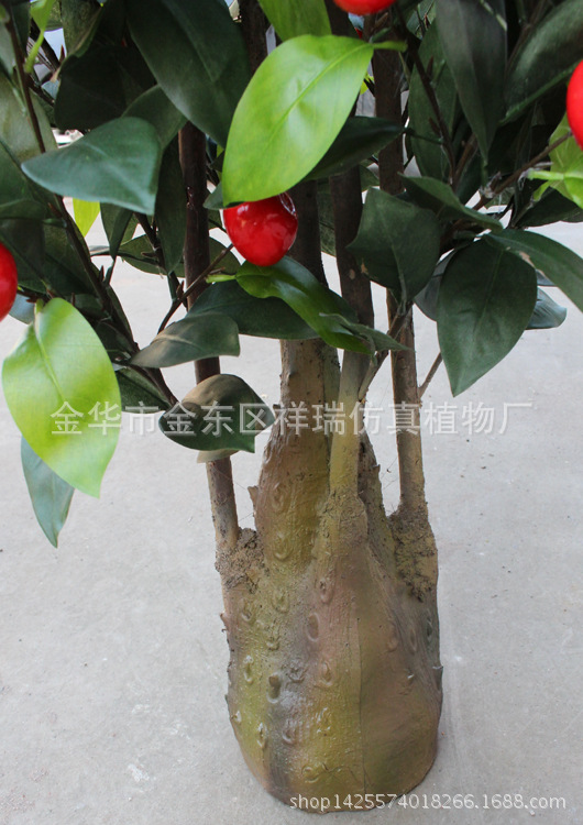 XRS-135 塔型五叉苹果树(小)1