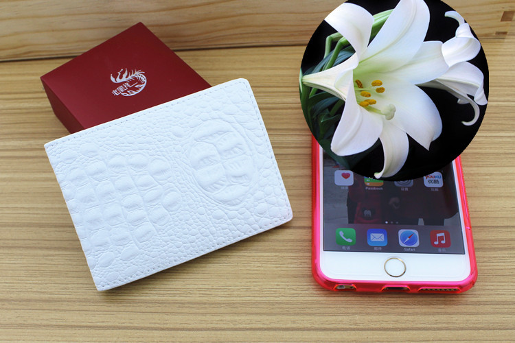 3101644_223558726189_2_副本