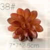 38
