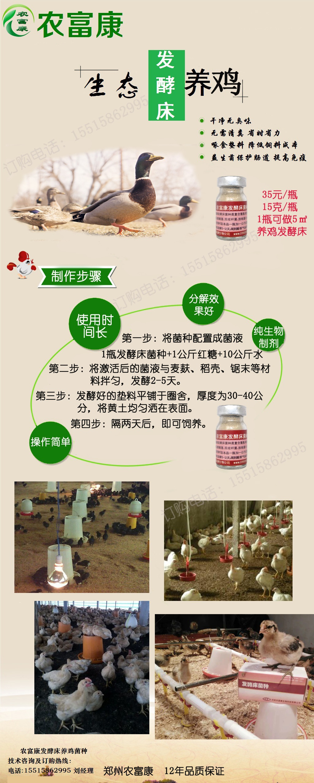 发酵床养鸡