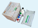 亚洲I型口蹄疫抗体检测试剂盒