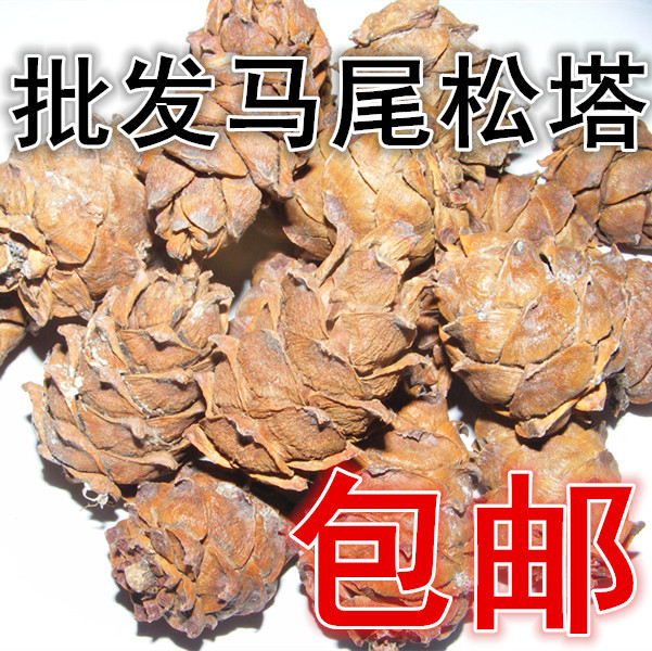 supply Daxinganling Ponytail Pine Pine nuts Songta nut snacks Place of Origin new goods Rat food