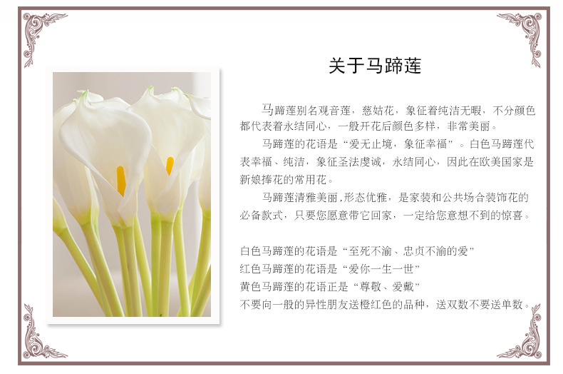 TB2FzysdVXXXXcpXpXXXXXXXXXX-26