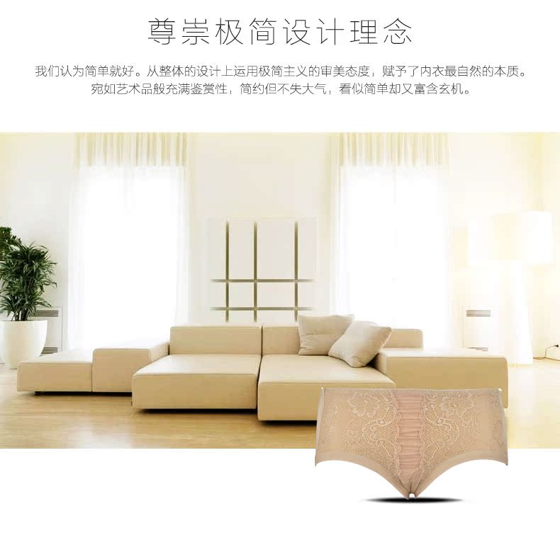 Slip E-11-17-010 - Ref 650094 Image 8