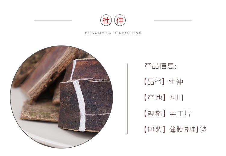 Dried Eucommia Bark Du Zhong 500g Sichuan Origin Traditional TCM Herb overview